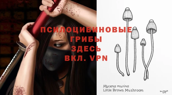 дмт Вяземский