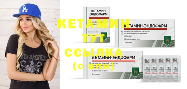 дмт Вяземский