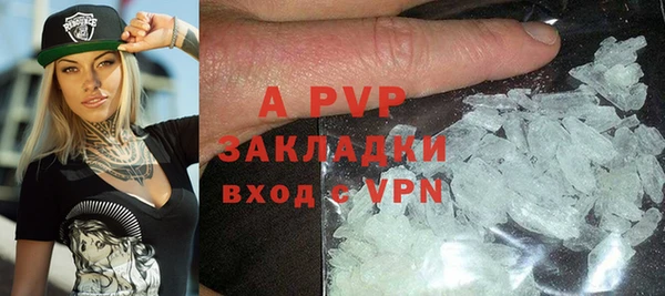 индика Горно-Алтайск