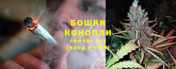 дмт Вяземский