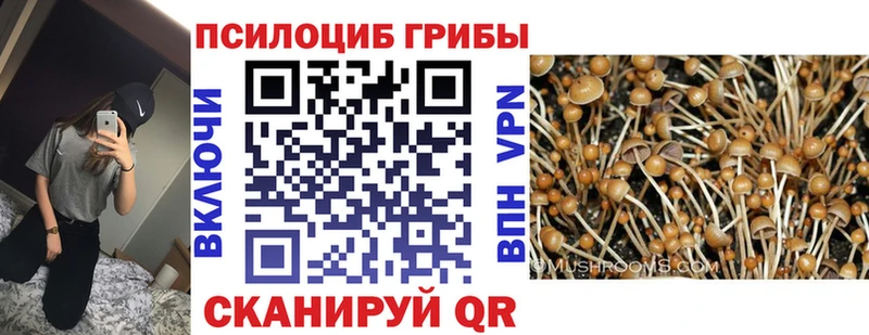 Псилоцибиновые грибы мухоморы  где продают   Змеиногорск 