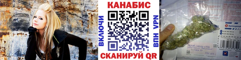 где продают наркотики  Змеиногорск  shop клад  Бошки марихуана Amnesia 